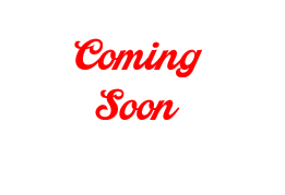 Optional Link Pipe for ZX10 (08-10)